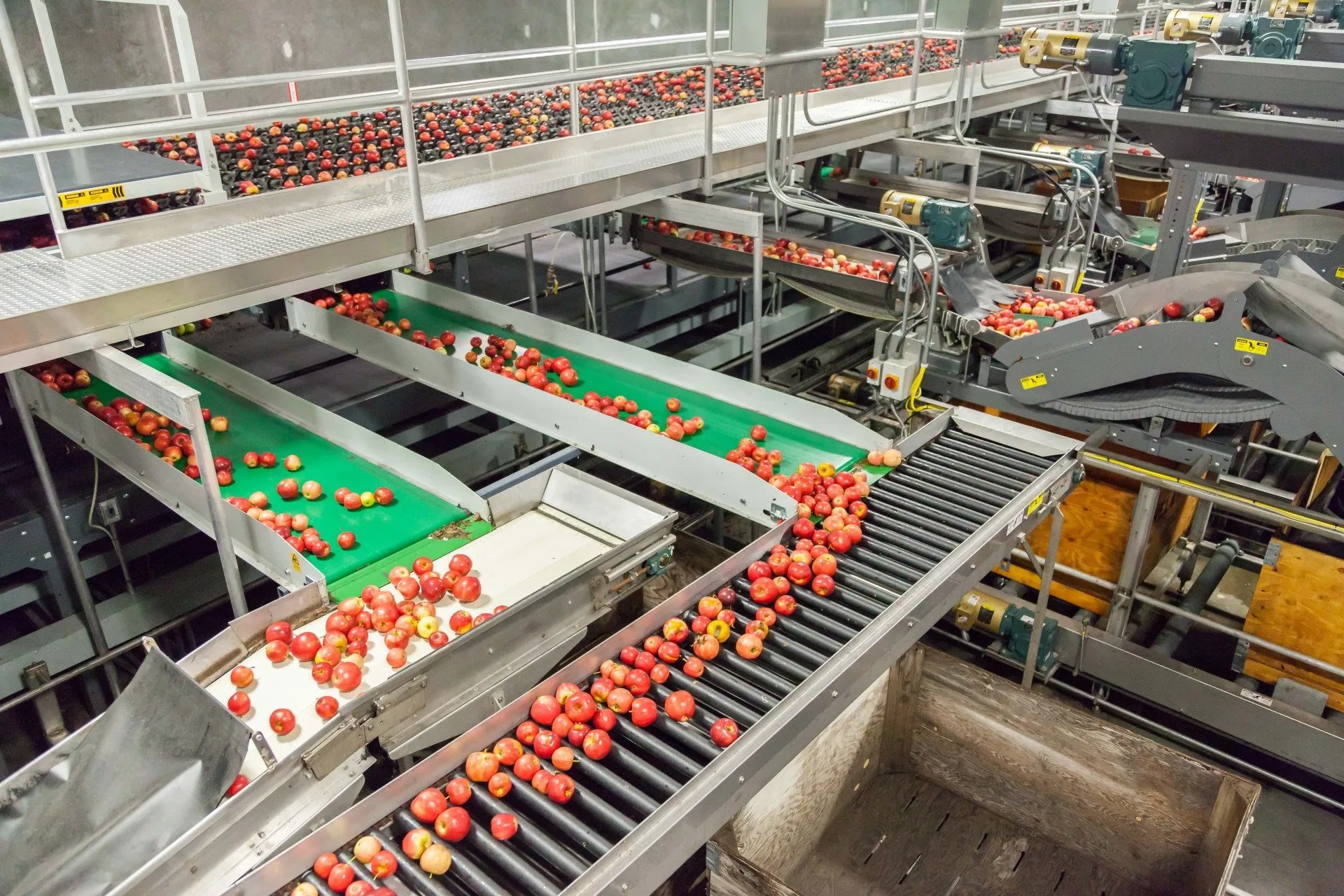 Food Processing Plants