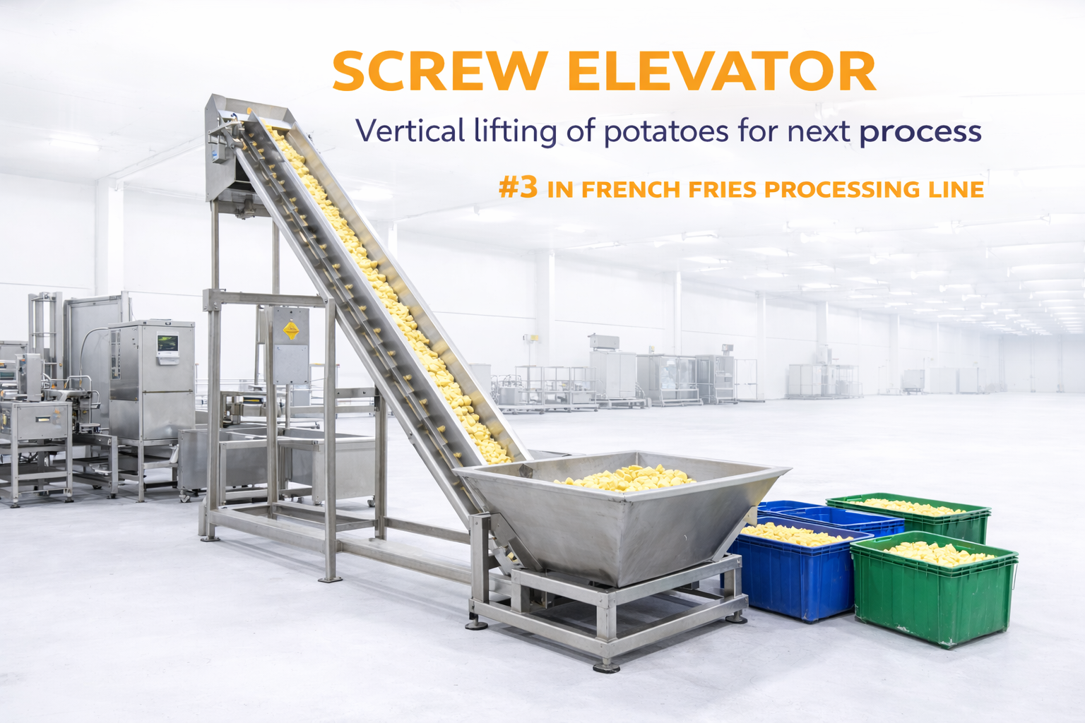 Screw elevator in food processing line