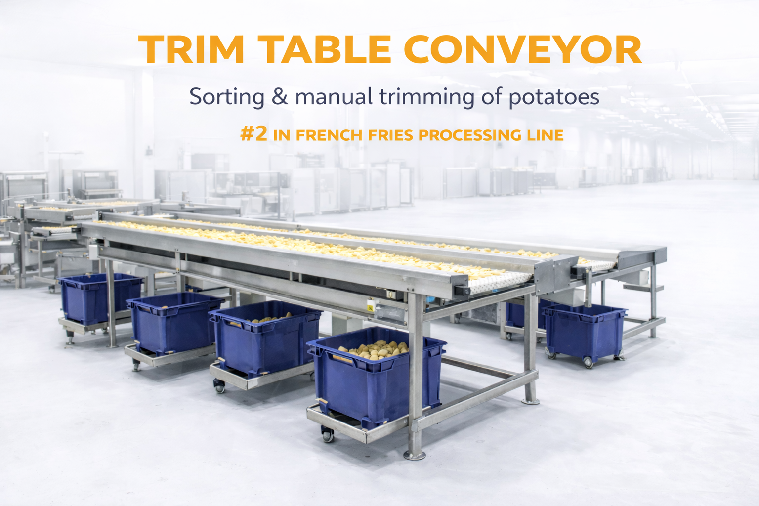 Trim table conveyor in potato sorting line