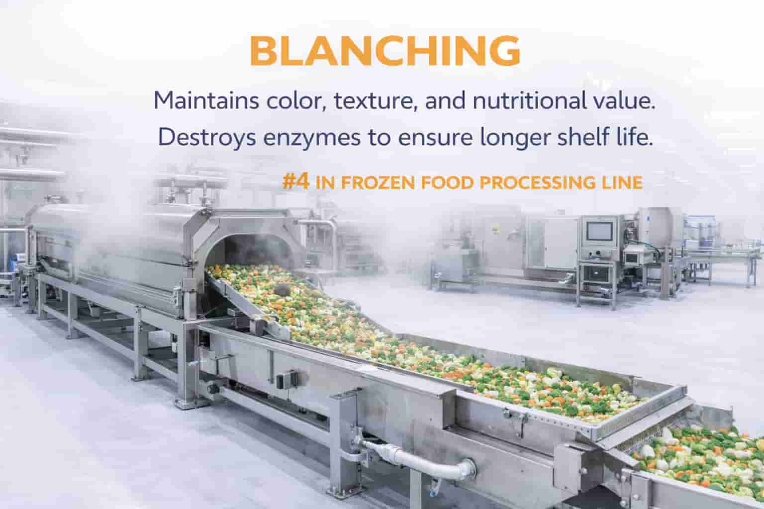 Blanching Process in Frozen Food Processing Line