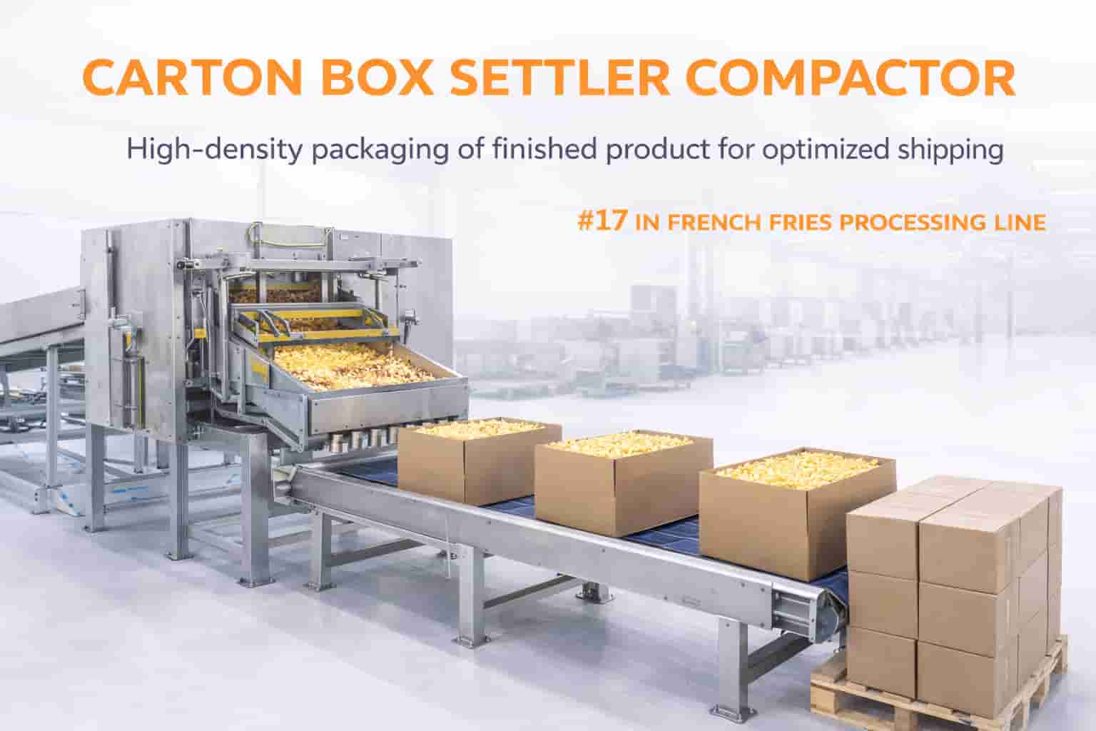 Cartoon Box Settler and Compactor in French Fries Processing Line