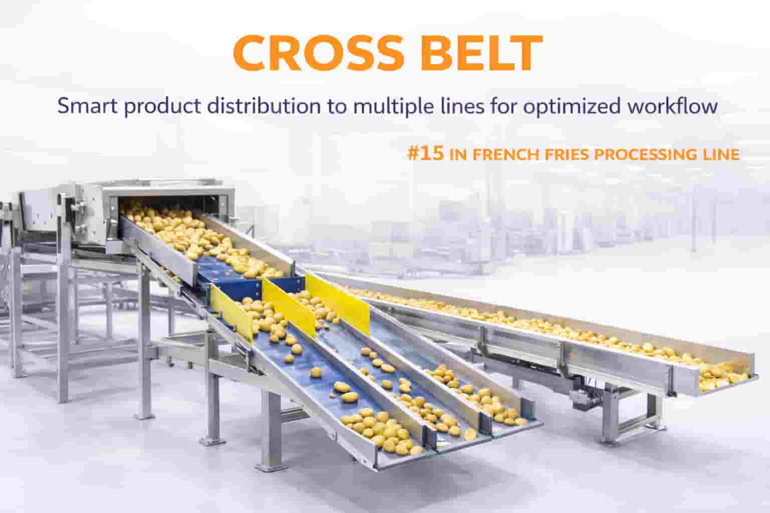 Cross Belt Conveyor in French Fries Processing Line