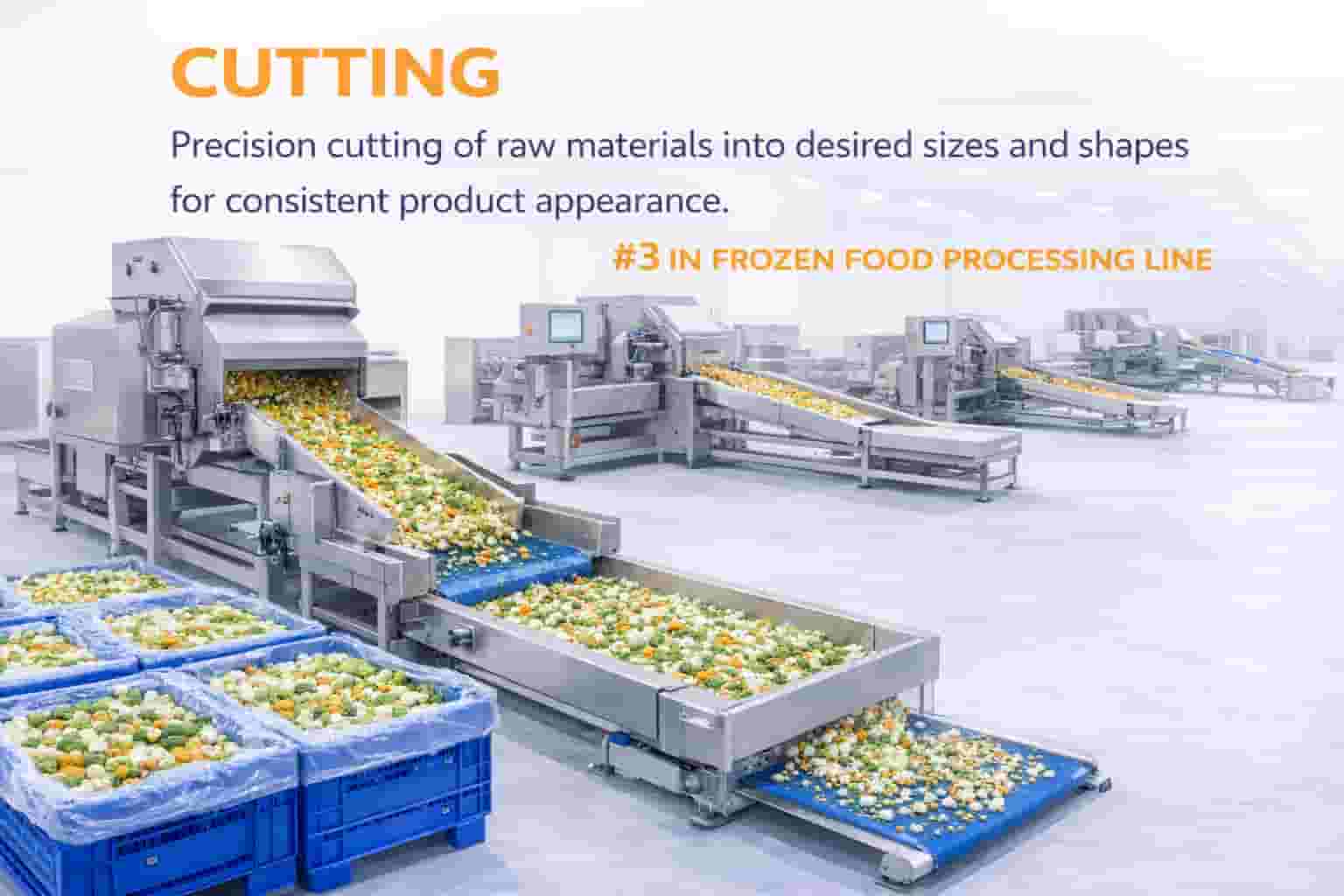 Cutting Process in Frozen Food Processing Line