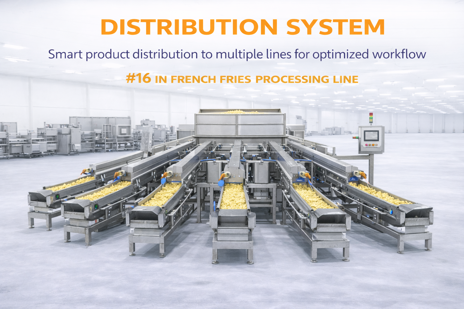 Distribution System in French Fries Processing Line
