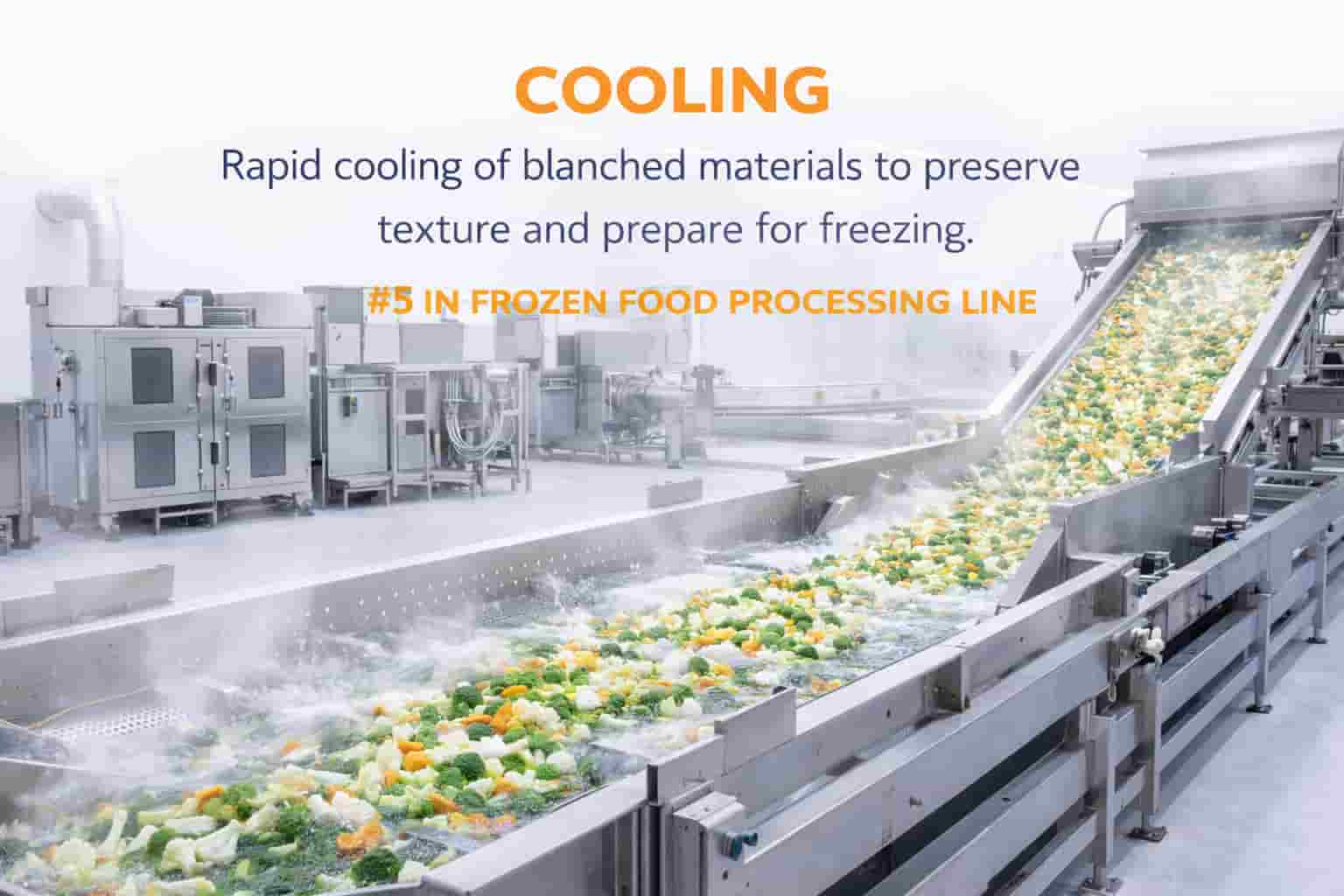 Freezing Process in Frozen Food Processing Line