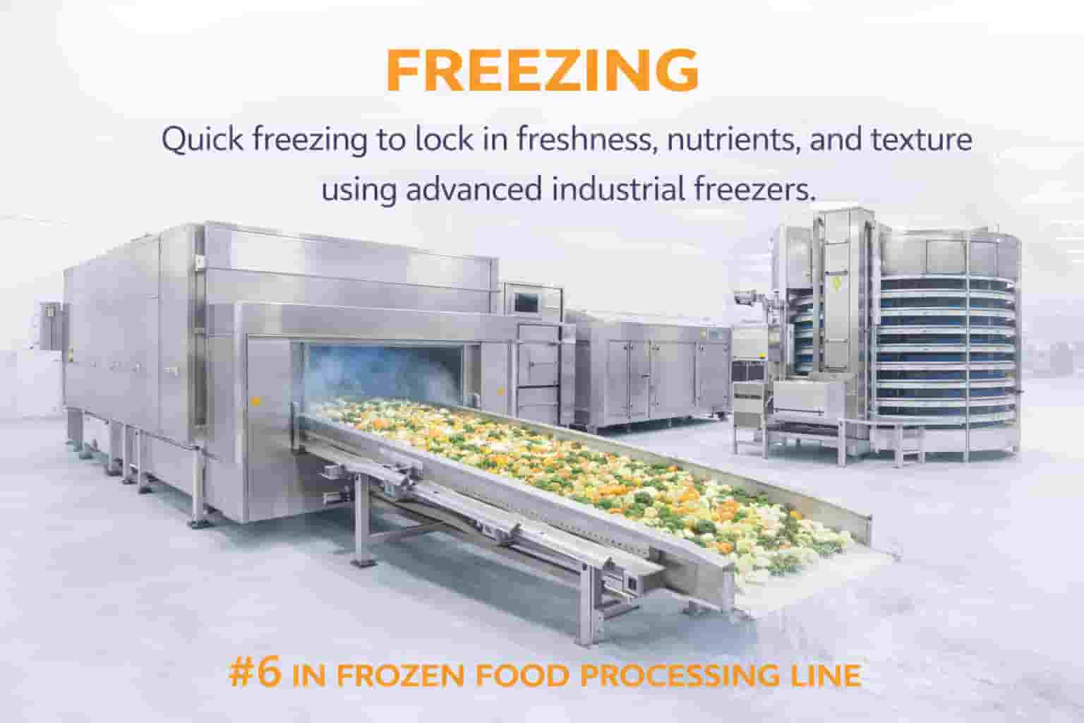 Freezing Process in Frozen Food Processing