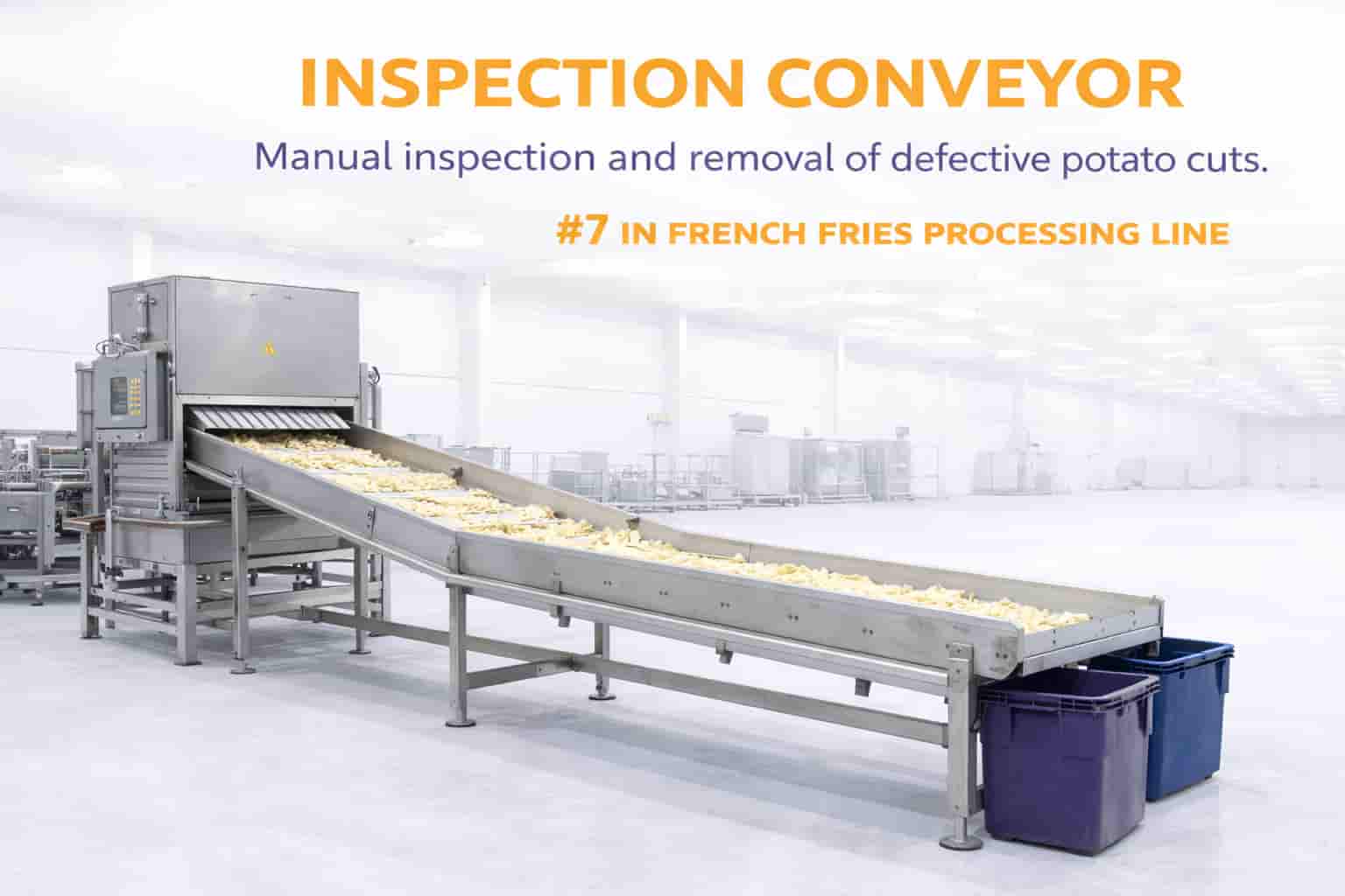 Inspection Conveyor
