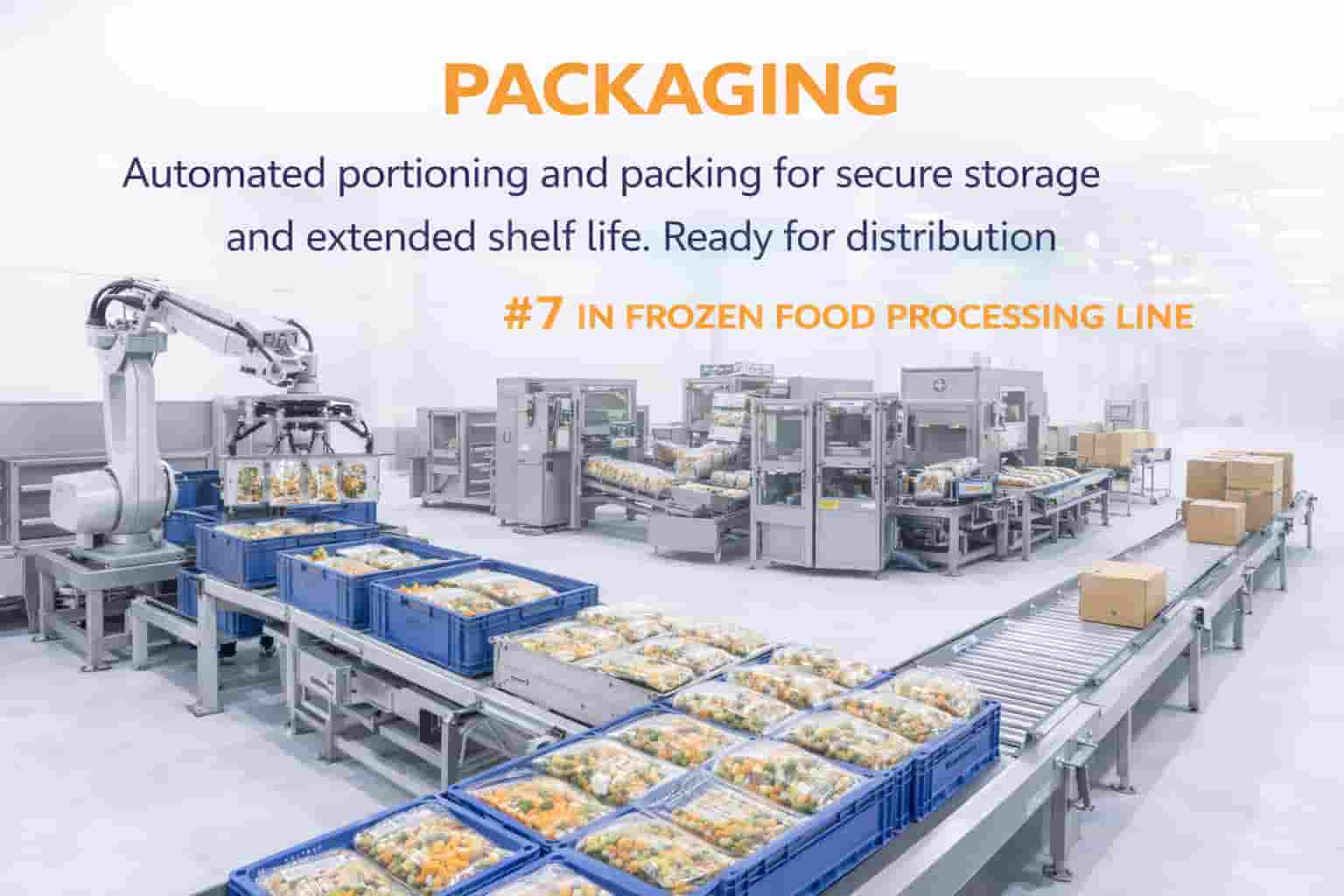 Packaging Process in Frozen Food Processing Line