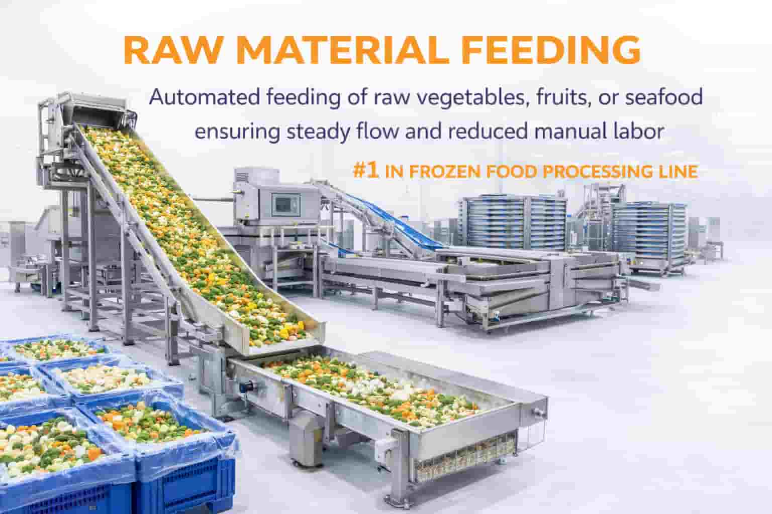 Raw Material feeding For Frozen Food Processing ine 1