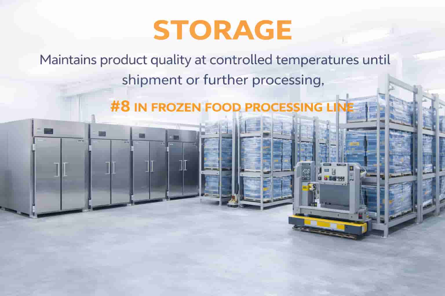 Storage Process in Frozen Food Processing Line