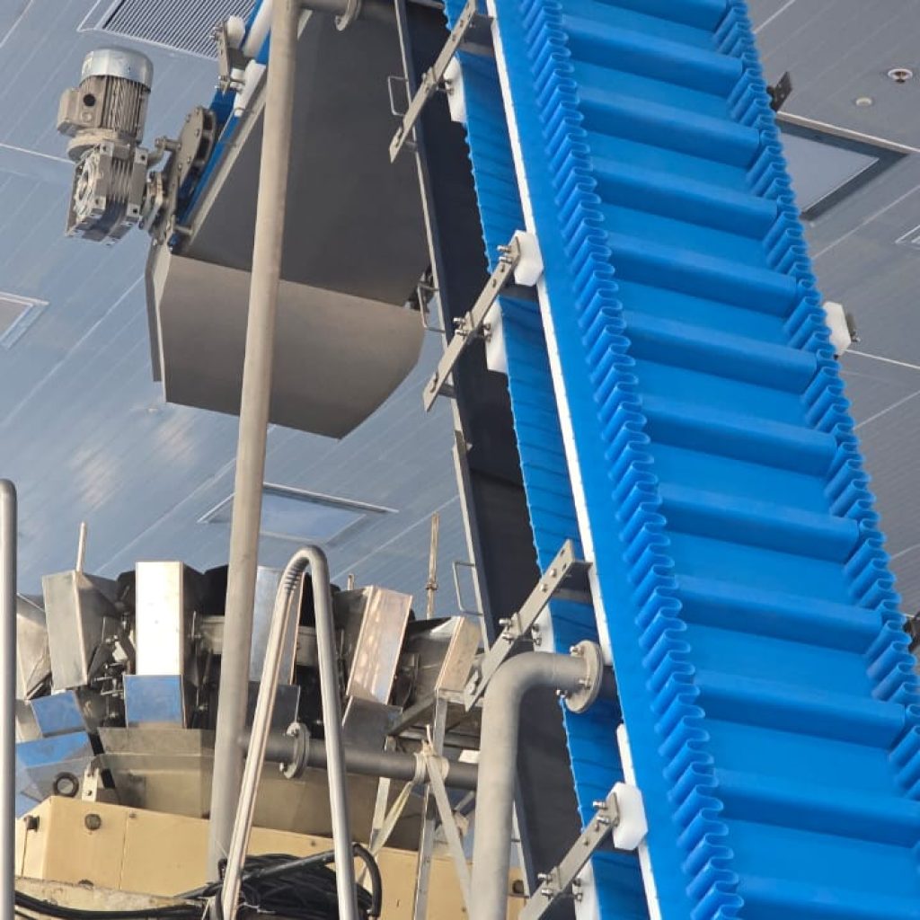 Belt Conveyor Pune