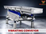 Vibrating Conveyor Yugawe100 India For Food Processing